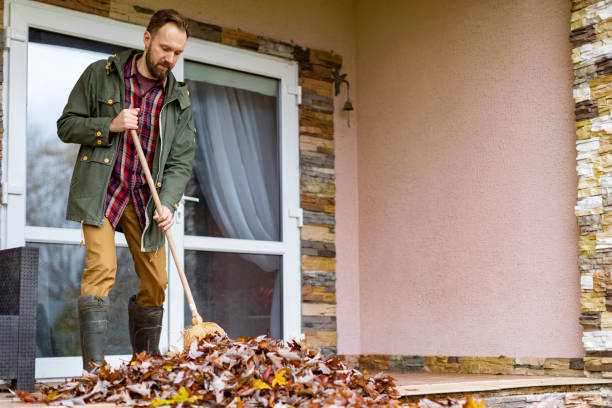 Best Affordable Junk Removal Services  in Odem, TX